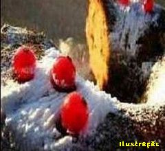 Bolo da Fam&iacute;lia, Ingredientes para Bolo da Fam&iacute;lia - 1 Kg de farinha, 1 Kg de a&ccedil;&uacute;car, 250g De manteiga, 60g De banha, Raspa da casca