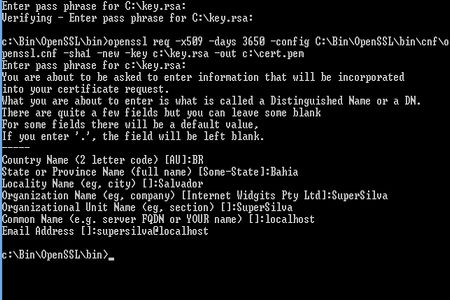 Gerar chaves privadas e Certificados Auto-Assinados no formato .pem utilizando o OpenSSL