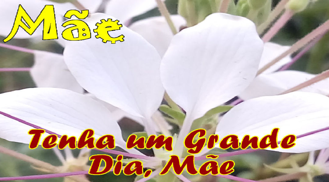 Enviar Mensagens para Mães Redes Sociais Enviar Mensagens para Mães Redes Sociais