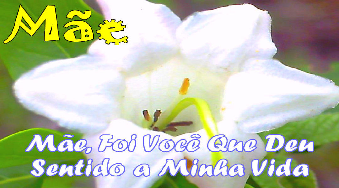 Enviar Mensagens para Mães Redes Sociais Enviar Mensagens para Mães Redes Sociais