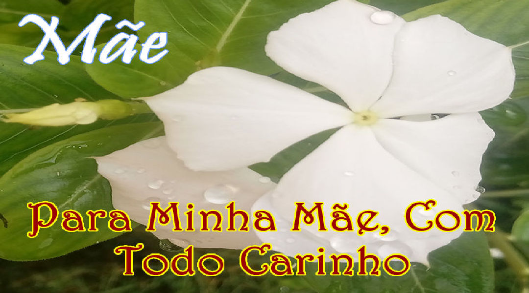 Enviar Mensagens para Mães Redes Sociais Enviar Mensagens para Mães Redes Sociais