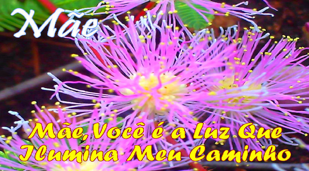Enviar Mensagens para Mães Redes Sociais Enviar Mensagens para Mães Redes Sociais