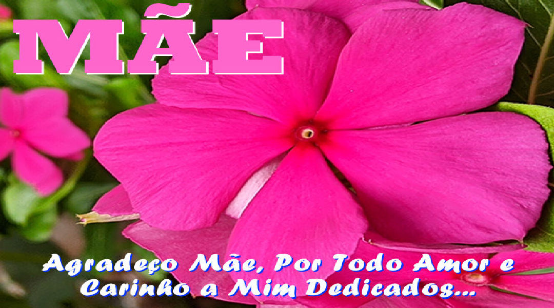 Enviar Mensagens para Mães Redes Sociais Enviar Mensagens para Mães Redes Sociais