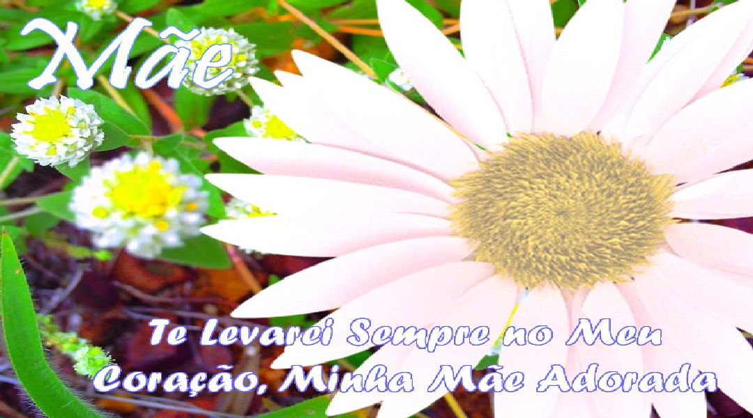 Enviar Mensagens para Mães Redes Sociais Enviar Mensagens para Mães Redes Sociais
