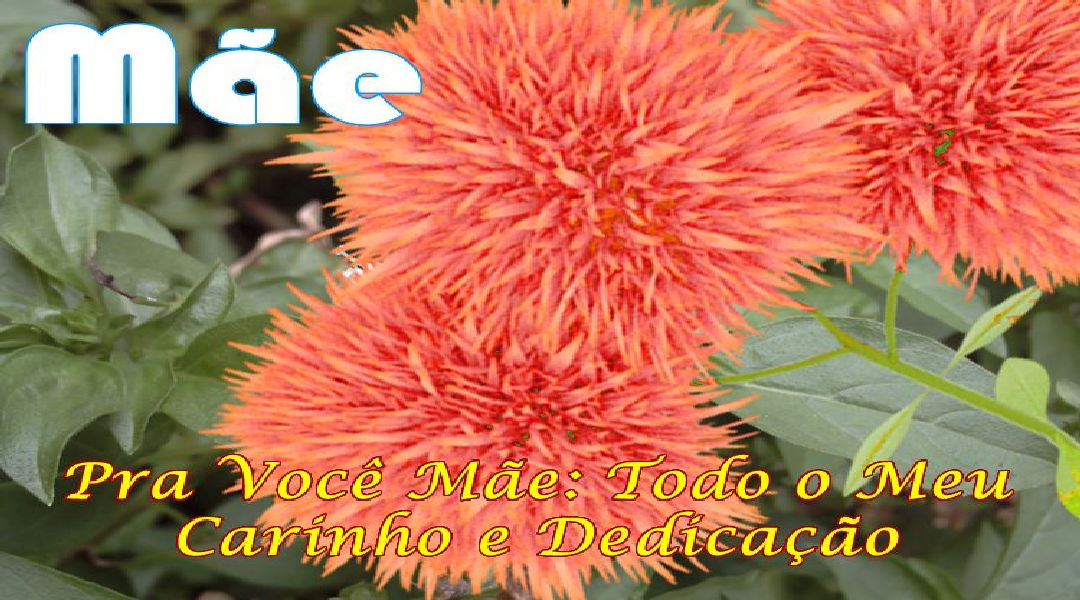 Enviar Mensagens para Mães Redes Sociais Enviar Mensagens para Mães Redes Sociais