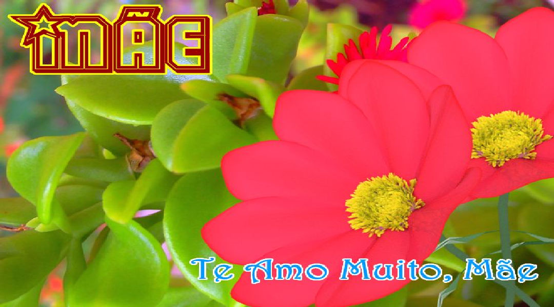 Enviar Mensagens para Mães Redes Sociais Enviar Mensagens para Mães Redes Sociais