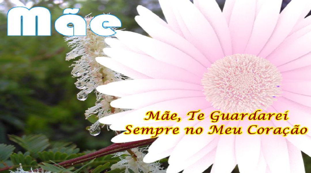 Enviar Mensagens para Mães Redes Sociais Enviar Mensagens para Mães Redes Sociais