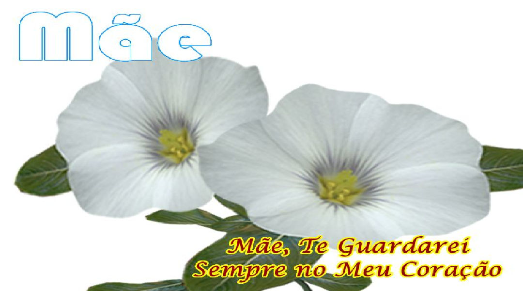 Enviar Mensagens para Mães Redes Sociais Enviar Mensagens para Mães Redes Sociais