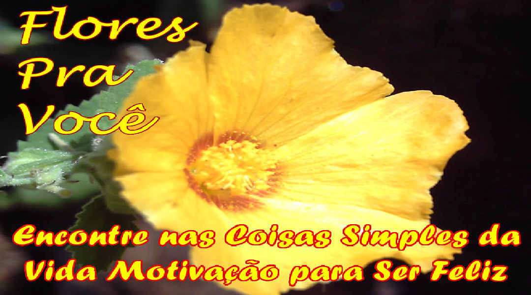 Enviar Mensagens com Flores nas Redes Sociais Enviar Mensagens com Flores nas Redes Sociais