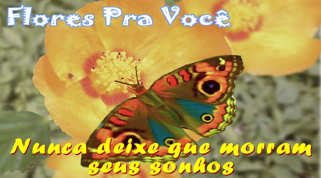 Enviar Mensagens com Flores nas Redes Sociais Enviar Mensagens com Flores nas Redes Sociais