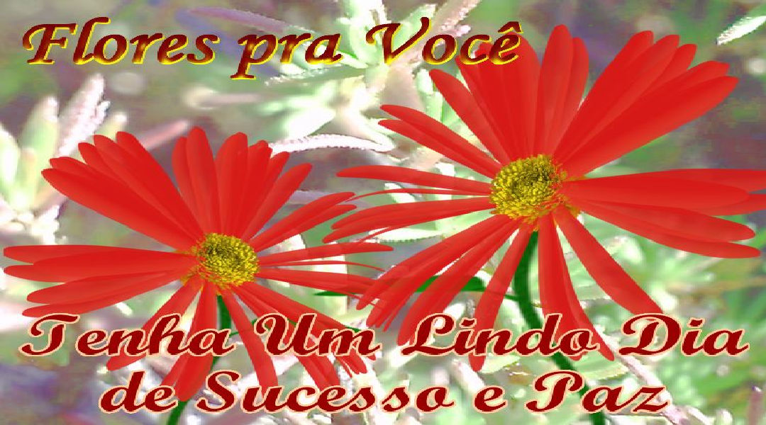 Enviar Mensagens com Flores nas Redes Sociais Enviar Mensagens com Flores nas Redes Sociais
