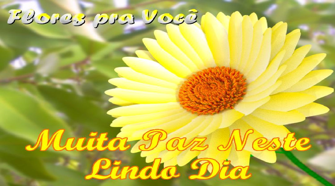 Enviar Mensagens com Flores nas Redes Sociais Enviar Mensagens com Flores nas Redes Sociais