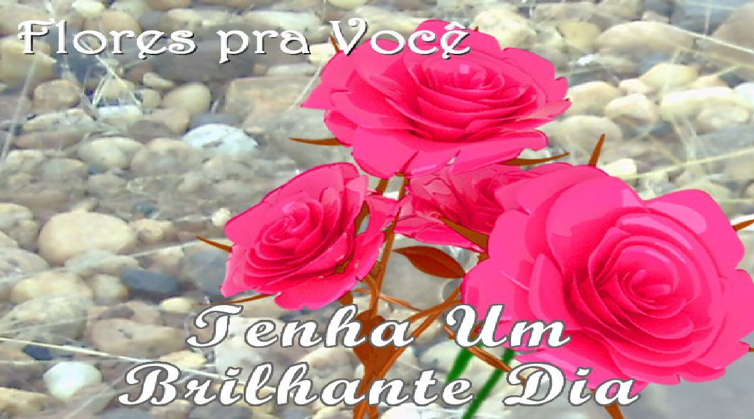 Enviar Mensagens com Flores nas Redes Sociais Enviar Mensagens com Flores nas Redes Sociais