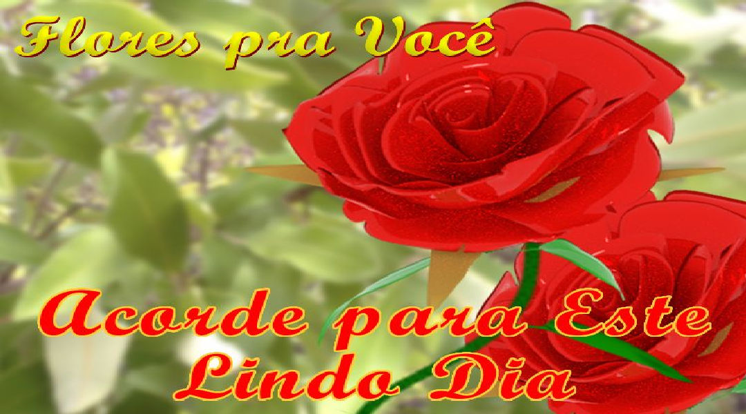 Enviar Mensagens com Flores nas Redes Sociais Enviar Mensagens com Flores nas Redes Sociais