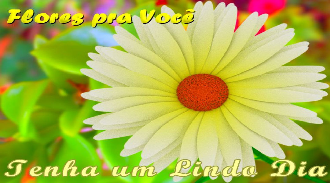 Enviar Mensagens com Flores nas Redes Sociais