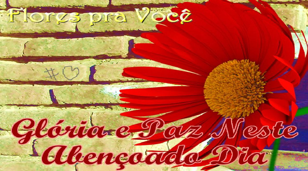 Enviar Mensagens com Flores nas Redes Sociais Enviar Mensagens com Flores nas Redes Sociais