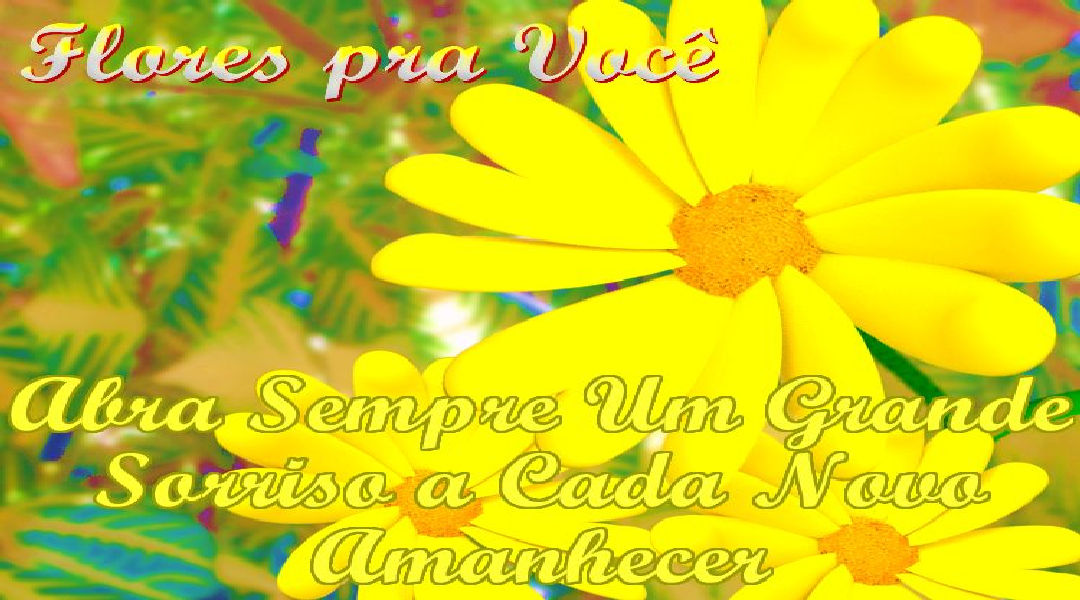 Enviar Mensagens com Flores nas Redes Sociais Enviar Mensagens com Flores nas Redes Sociais