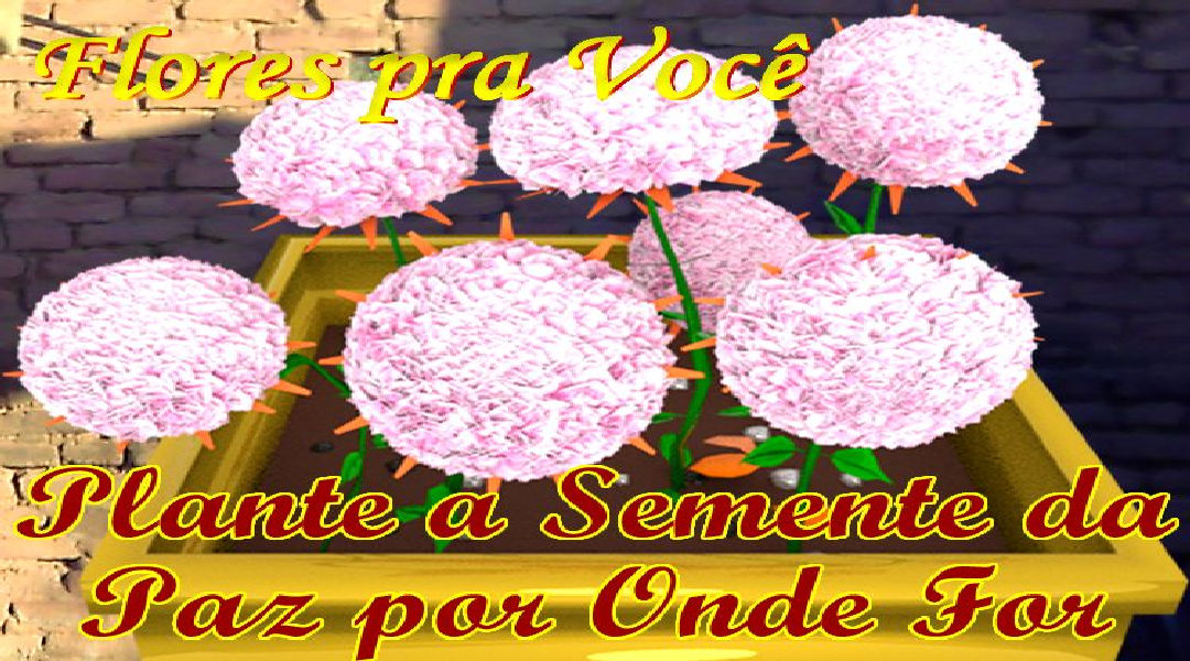 Enviar Mensagens com Flores nas Redes Sociais Enviar Mensagens com Flores nas Redes Sociais