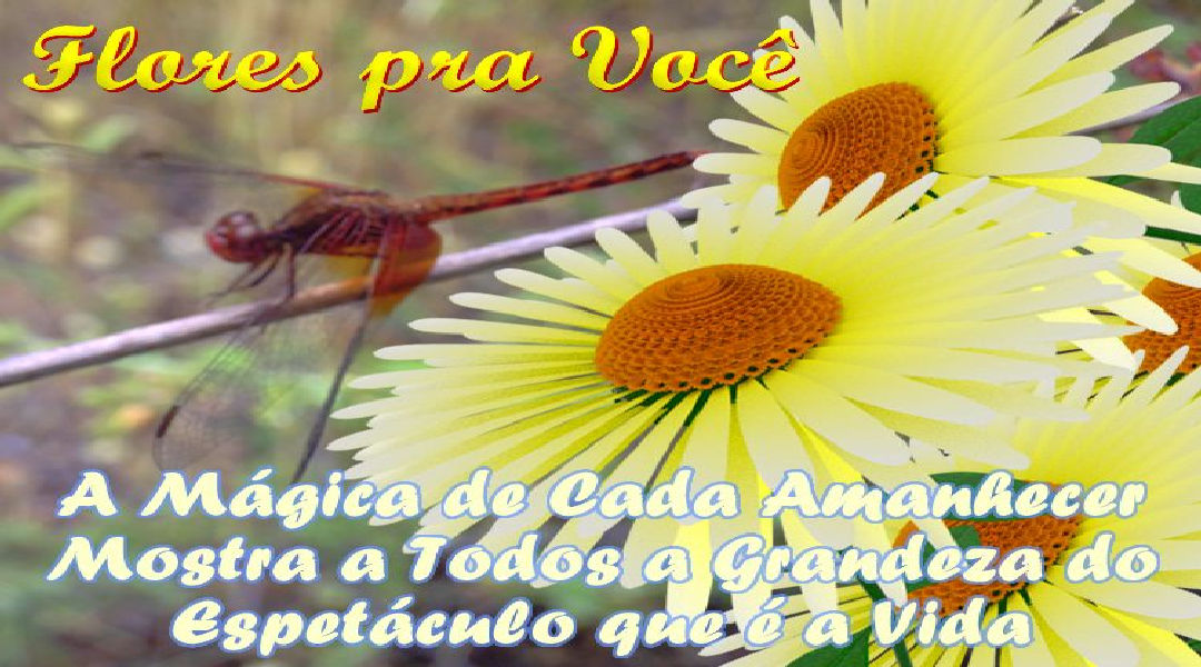 Enviar Mensagens com Flores nas Redes Sociais Enviar Mensagens com Flores nas Redes Sociais
