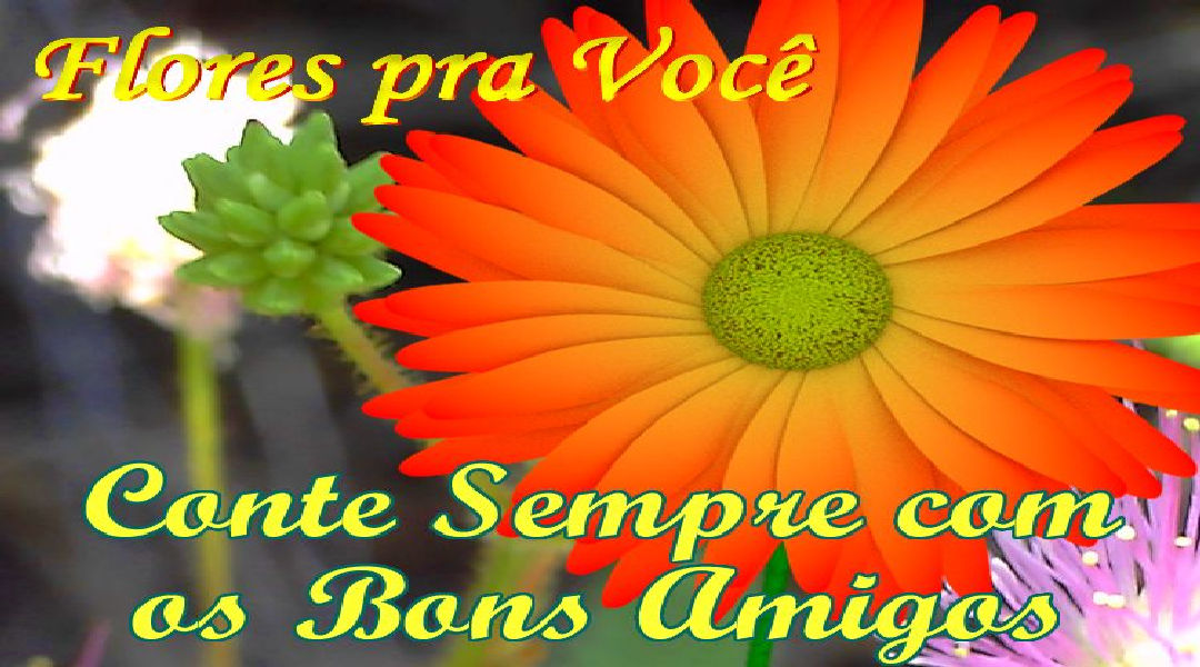 Enviar Mensagens com Flores nas Redes Sociais