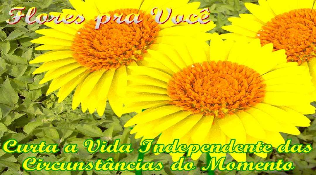 Enviar Mensagens com Flores nas Redes Sociais Enviar Mensagens com Flores nas Redes Sociais