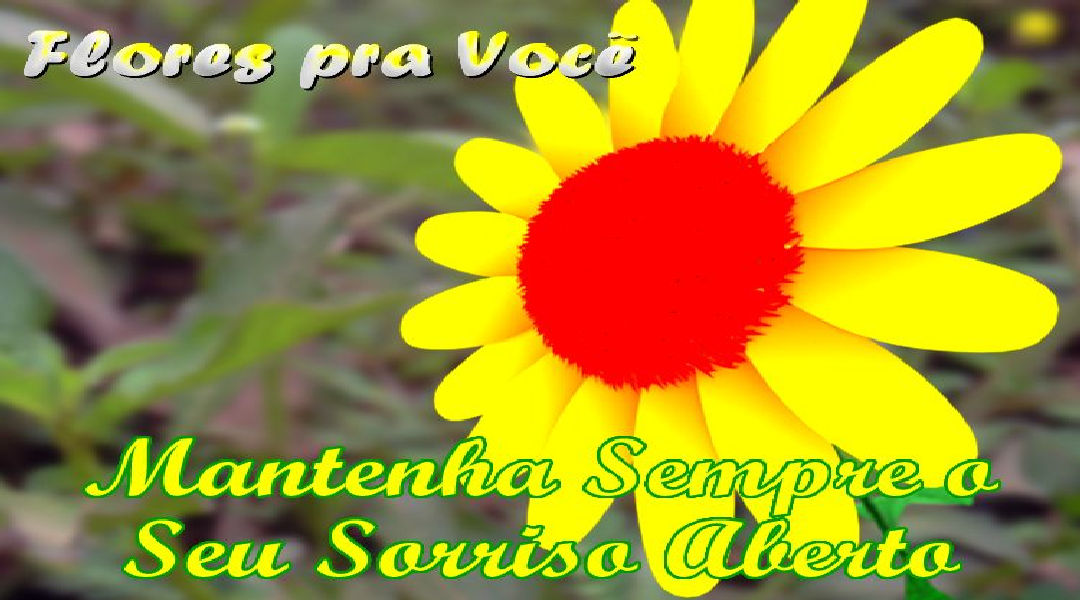 Enviar Mensagens com Flores nas Redes Sociais Enviar Mensagens com Flores nas Redes Sociais