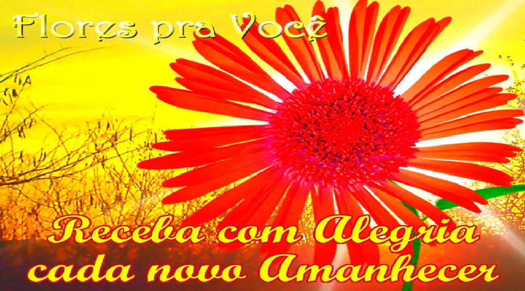 Enviar Mensagens com Flores nas Redes Sociais Enviar Mensagens com Flores nas Redes Sociais