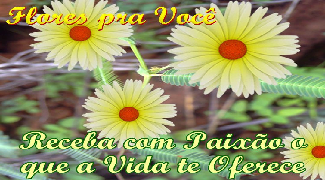 Enviar Mensagens com Flores nas Redes Sociais Enviar Mensagens com Flores nas Redes Sociais