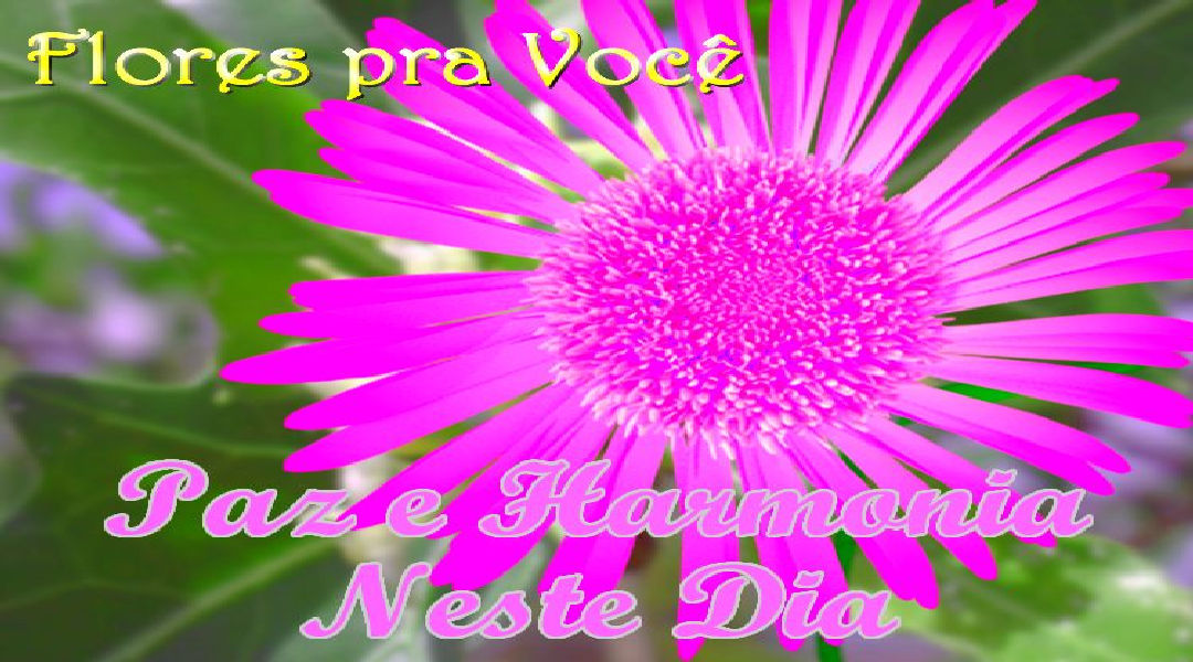 Enviar Mensagens com Flores nas Redes Sociais Enviar Mensagens com Flores nas Redes Sociais