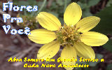 Mensagens com Flores - Imagens