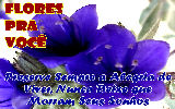 Mensagens com Flores - Imagens