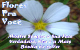 Mensagens com Flores - Imagens