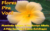 Mensagens com Flores - Imagens
