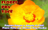 Mensagens com Flores - Imagens