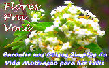 Mensagens com Flores - Imagens