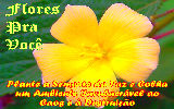 Mensagens com Flores - Imagens