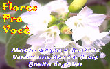 Mensagens com Flores - Imagens