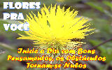 Mensagens com Flores - Imagens
