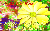 Mensagens com Flores - Imagens