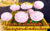 Mensagens com Flores - Imagens