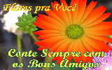 Mensagens com Flores - Imagens
