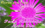 Mensagens com Flores - Imagens