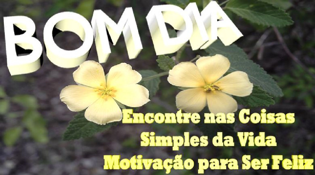 Enviar Mensagens de Boa Tarde para Amigos e Familiares nas Redes Sociais Enviar Mensagens de Boa Tarde para Amigos e Familiares nas Redes Sociais