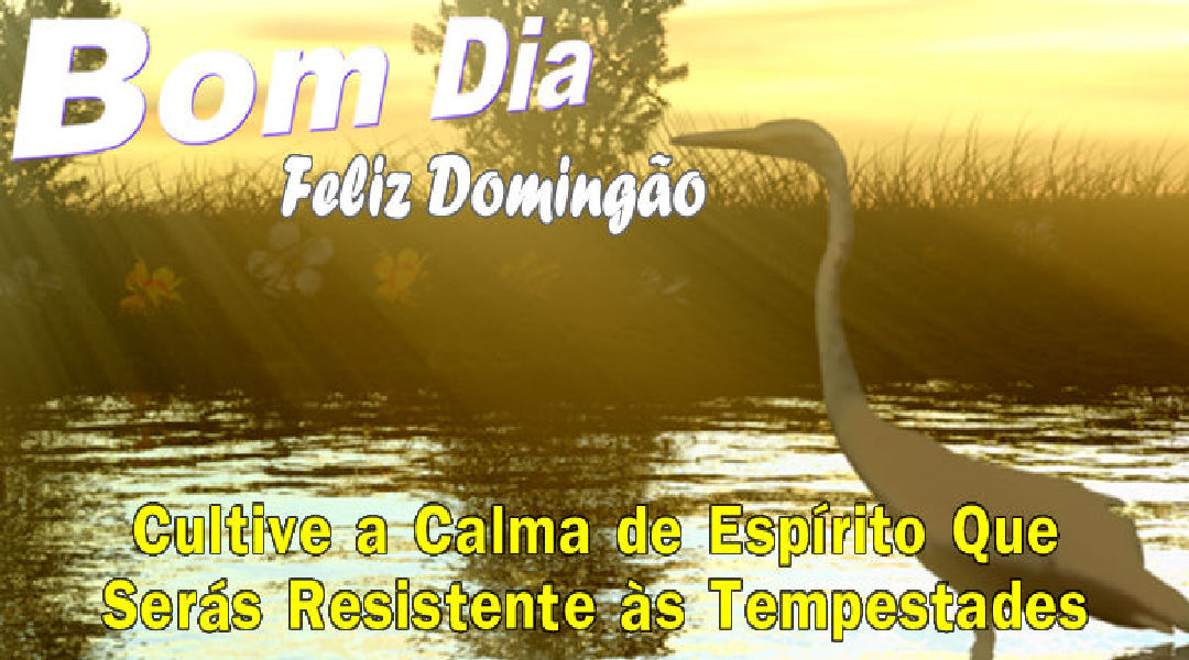 Enviar Mensagens de Boa Tarde para Amigos e Familiares nas Redes Sociais Enviar Mensagens de Boa Tarde para Amigos e Familiares nas Redes Sociais