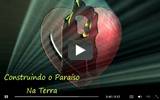 Mensagens de Amor - Videos