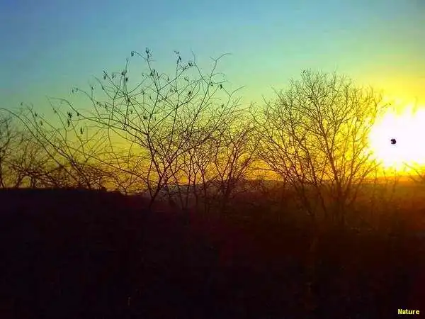 Imagens do Nordeste - Festa Junina no Nordeste