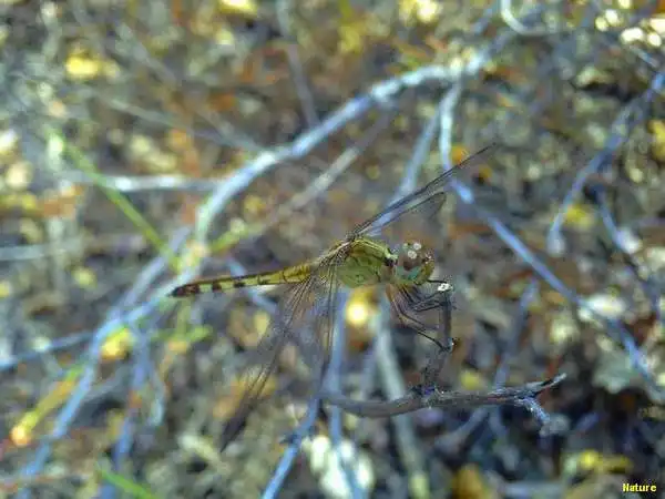 Imagens do Nordeste - Festa Junina no Nordeste