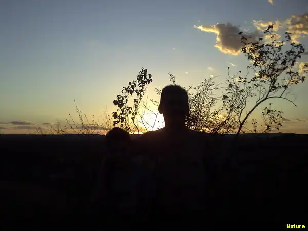 Mata da Caatinga - Flora Nordestina