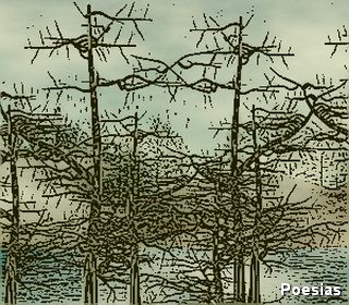 Poema 'Descontrolado' | Autor: Robson Schneider, A Mente Est&aacute; Descontrolada, Presa e Amarrada, Amarrada ao Nada de Dentro Dela Mesma