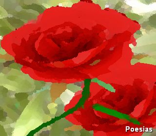 Poema 'Para Qu&ecirc; o Fim' | Autor: Jackson Lima Ferreira, Para Qu&ecirc; o Fim, Recebi a Sua Flor, Tinha o Cheiro da Sua Pele